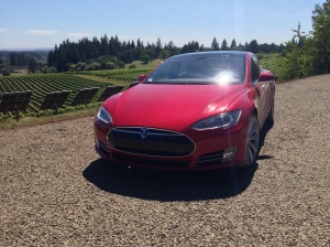 Tesla with panels and vineyard in background